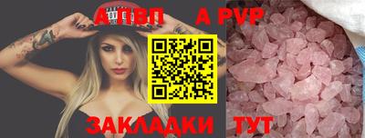 спиды Кингисепп