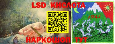 спиды Кингисепп