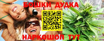 спиды Кингисепп