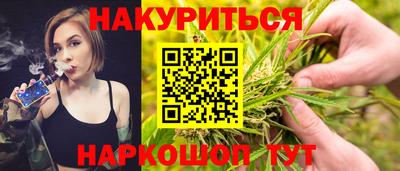 спиды Кингисепп