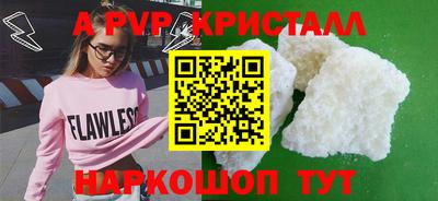 спиды Кингисепп