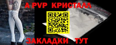 спиды Кингисепп