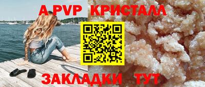 спиды Кингисепп