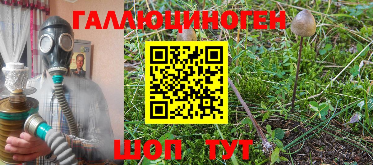 Крымск  Галлюциногенные грибы мицелий  Вход с VPN 